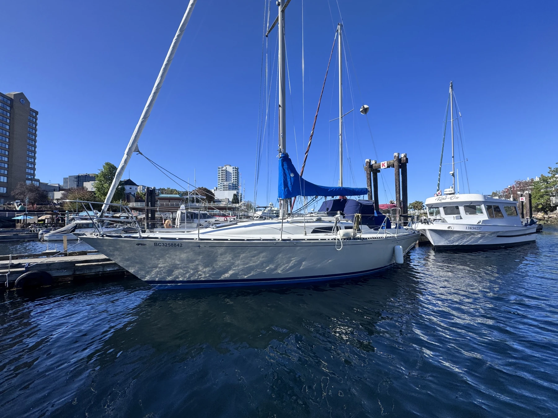 1981 C&C 34 Cruiser/Racer for sale