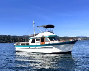 1989 Albin Trawler Cabin Cruiser for sale