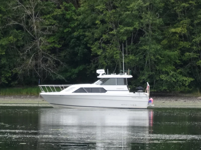 Cruiser for sale: 1995 Bayliner 2859 Cierra Classic Express (Ladysmith BC) by Kelly Yacht Sales