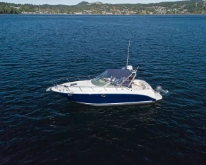 2004 Sea Ray Amberjack 290 Express Cruiser for sale
